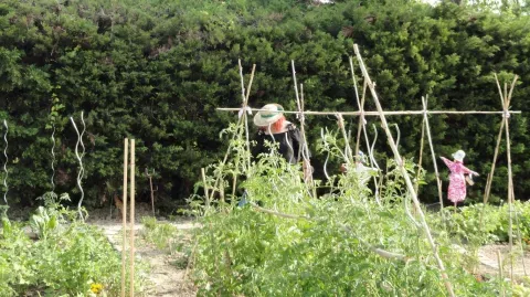 Jardin-partagé-lattes