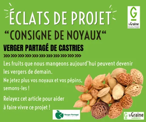  Rejoignez l’initiative "Consigne de noyaux" – Un projet concret pour l’écologie locale !