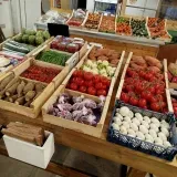 Le Jardin camarguais