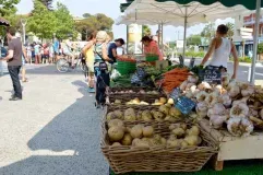 Marché de la Corniche à Sète