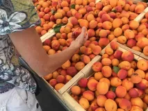 marché portiragnes