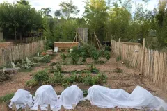 jardins_partagés_pezenas