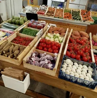 Le Jardin camarguais