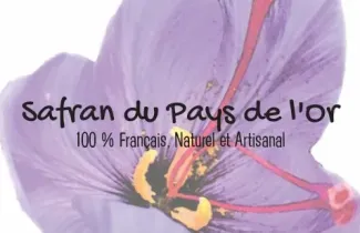 Safran cultivé en France