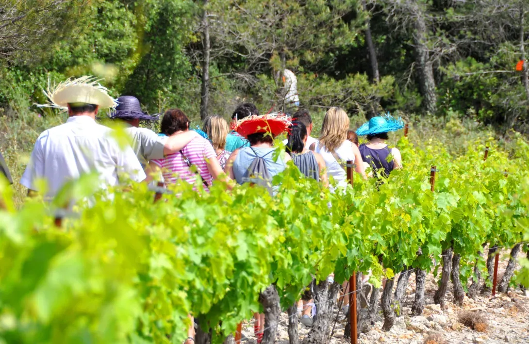 Groupe de personnes en balade dans les vignes au Château de Fourques