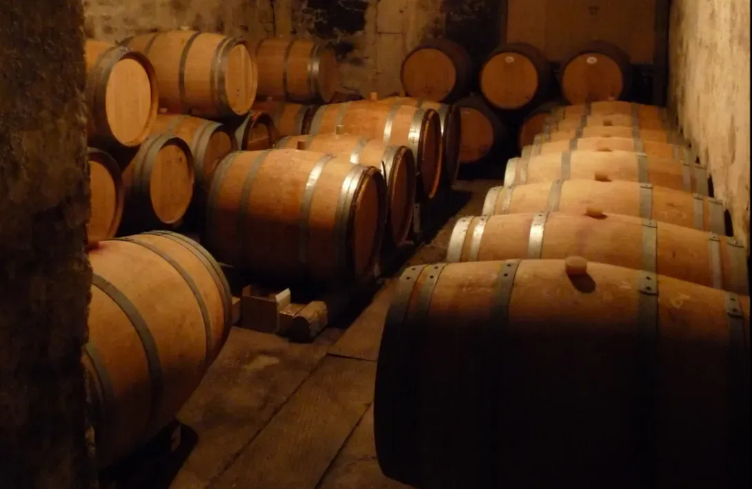 Vue du chai à barriques du Château de Fourques