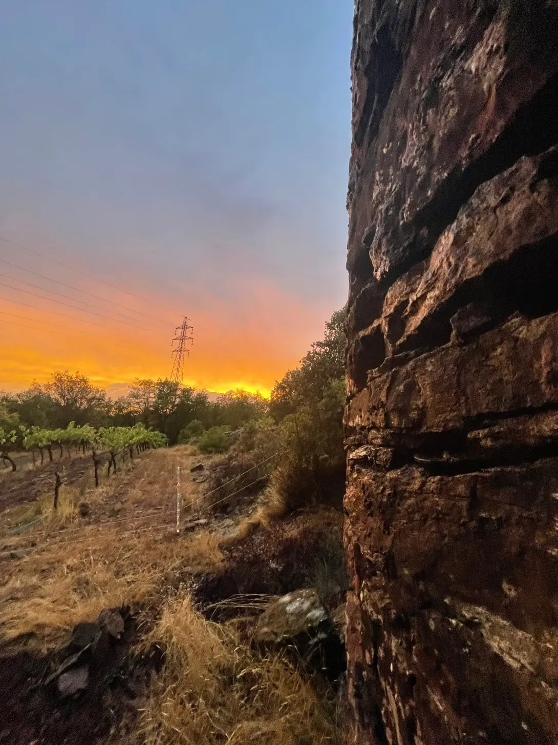 coucher de soleil capitelle