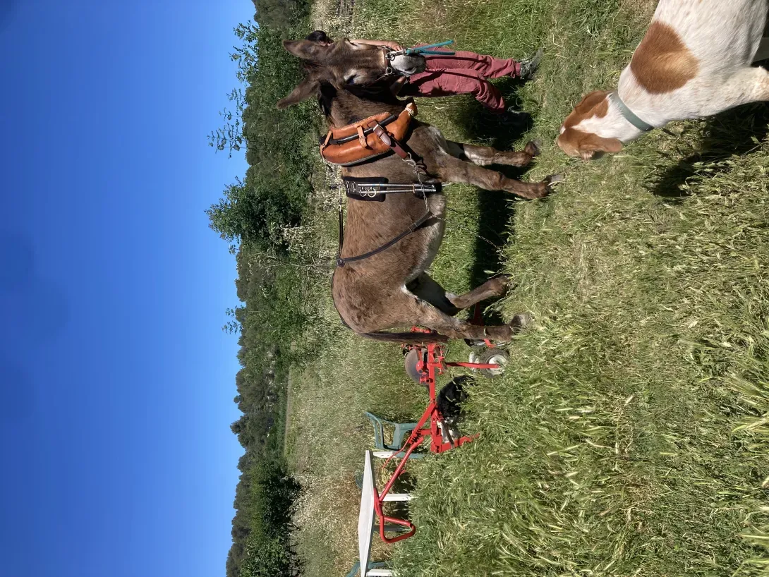 Campo prêt à travailler