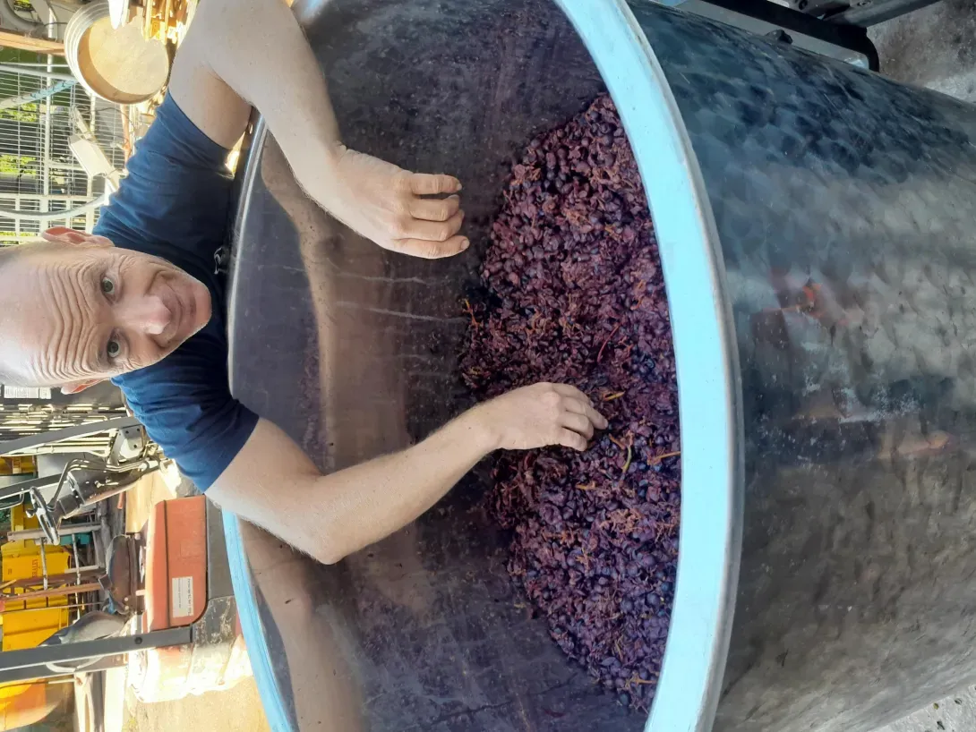 Décuvage de la future cuvée 2025