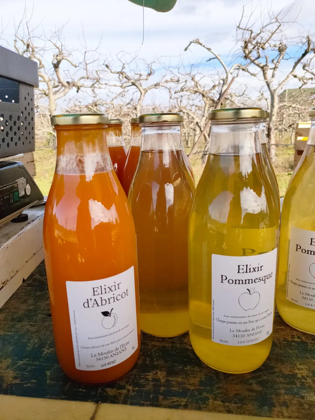 Pur jus de pomme - Notre fameux Elixir Pommesque